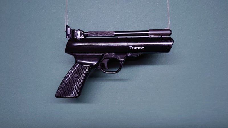 More about Webley Tempest .22 Air Pistol